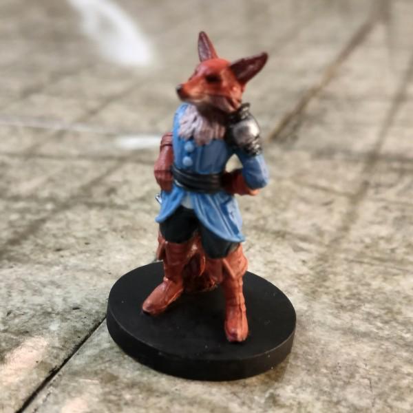 11-fox.jpg