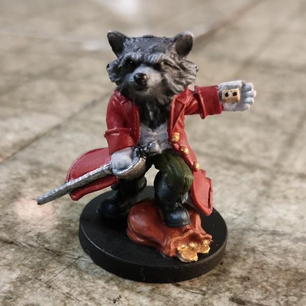 9-raccoon.jpg