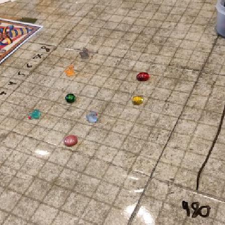 snail-racing.jpg